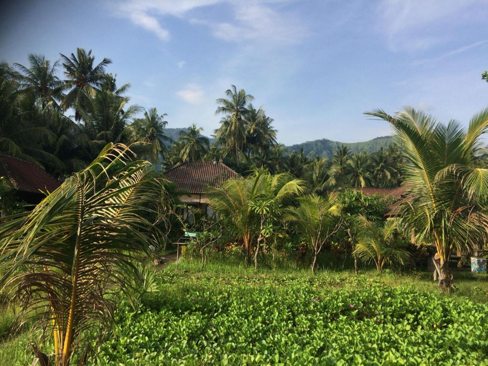 Bali Segara Lestari Oceanfront Villas Tejakula Exterior foto